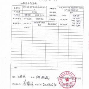 檢測報告(2024.05.30)